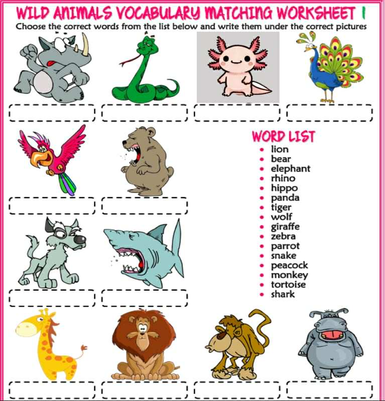 Ćwiczenie ze słownictwem — wild animals vocabulary matching worksheet