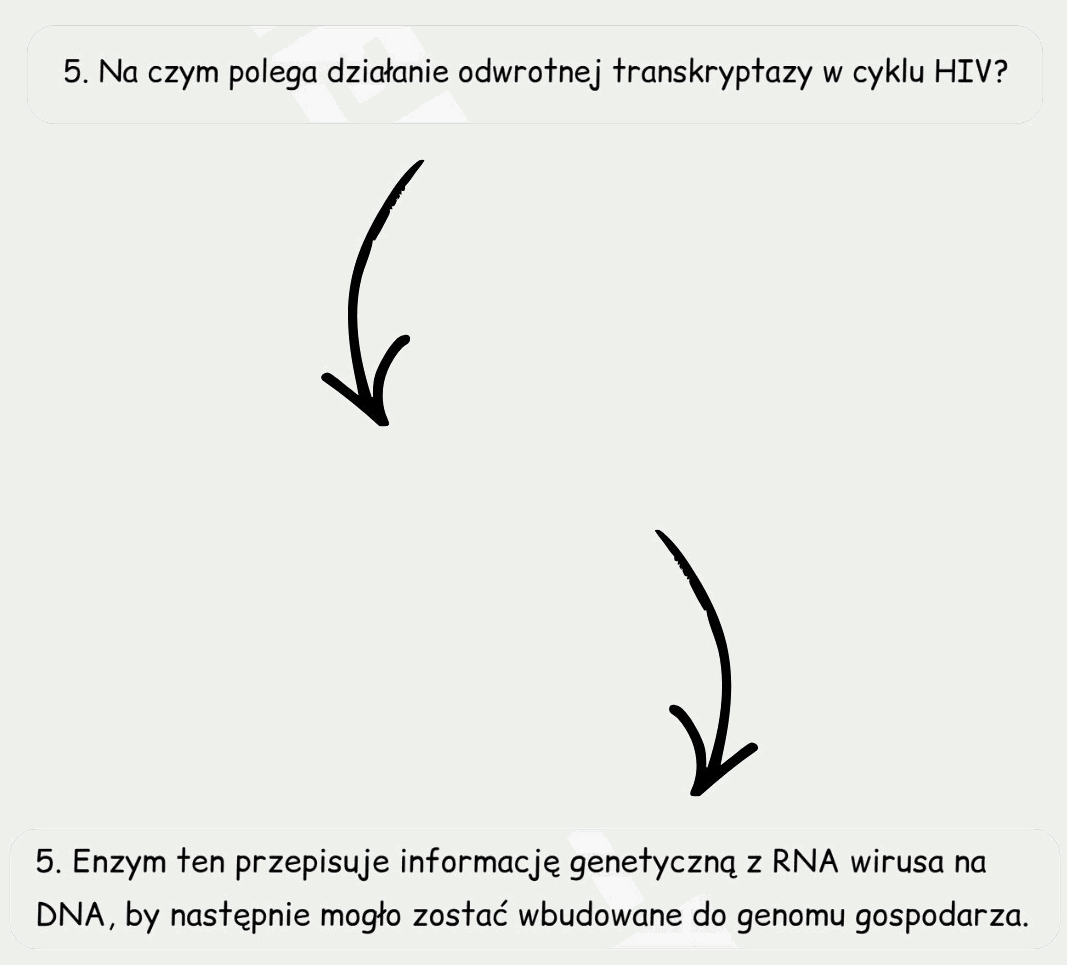 Pytanie, próba odpowiedzi i sprawdzenie